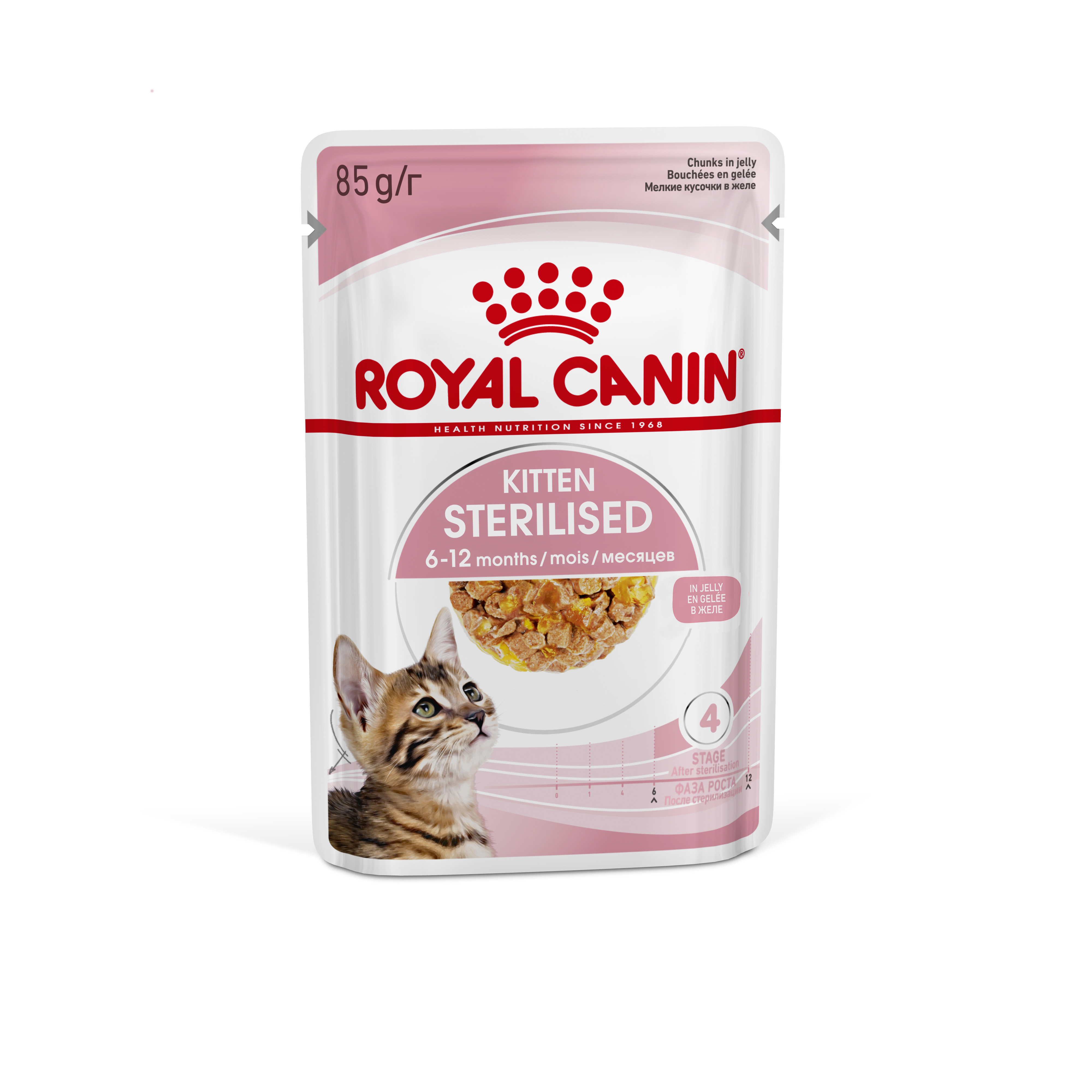 Повседневный корм Royal Canin (Роял Канин) для кошки