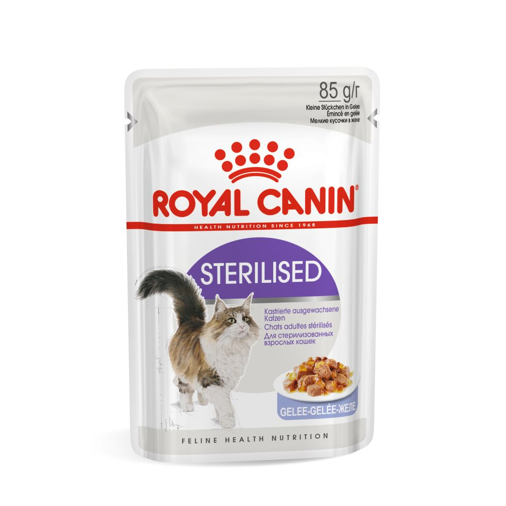 Повседневный корм Royal Canin (Роял Канин) для кошки