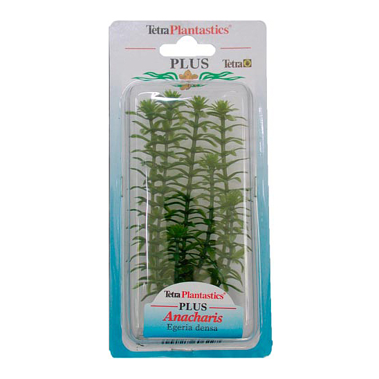 аквариумные растения Tetra для рыбки