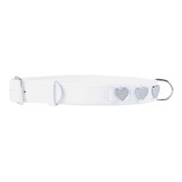 ошейник COLLAR для собаки