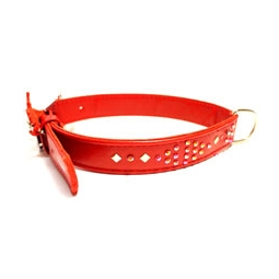 ошейник COLLAR для собаки