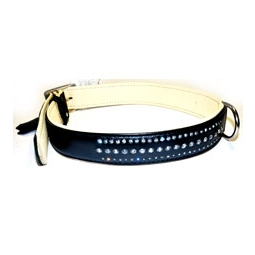 ошейник COLLAR для собаки